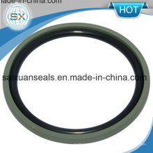 Piston / Elastomer / Double-Acting Glyd Ring Rectangular Seal